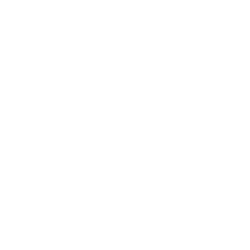 NetSupport